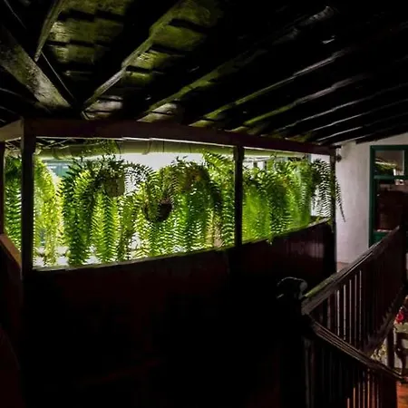 Emblematica Helechos Σπίτι διακοπών Λος Ρεαλέχος