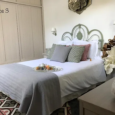 Emblematica Helechos *