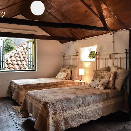Emblematica Helechos Holiday home Los Realejos